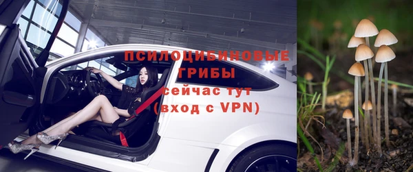 мяу мяу мука Волоколамск